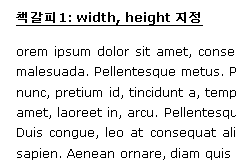 img 태그에 width와 height를 적용한 경우