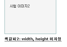 img 태그에 width와 height를 적용하지 않은 경우